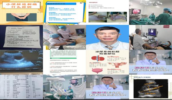 泌尿系统彩超价格 - 汕头泌尿系统彩超怎么检查